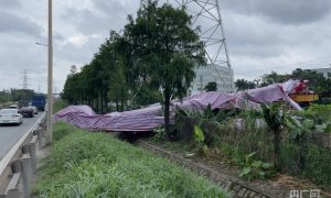 东莞电力施工塔吊倒塌砸到小轿车 现场仍在处置中