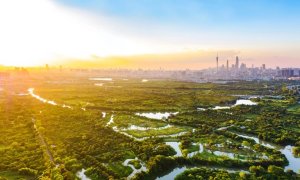 广东实施五大湿地保护重点工程！《广东省湿地保护规划》正式印发