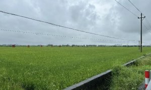 湛江百余名农户可直接收到天气预警！将建农田气象观测试验站