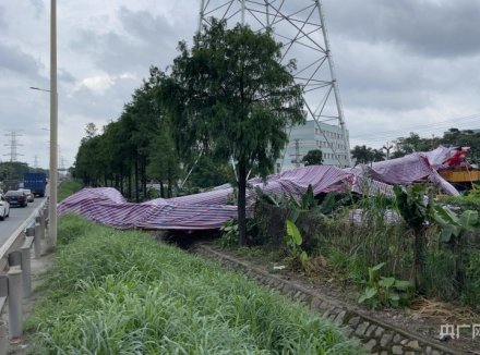 东莞电力施工塔吊倒塌砸到小轿车 现场仍在处置中