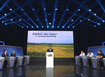 村民的宅基地被谁“偷”走了？广东省自然资源厅回应民生问题