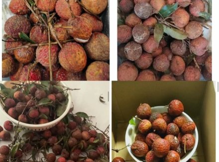 德邦快递被投诉两百单荔枝运输时腐烂，回应：时效外运单不作理赔