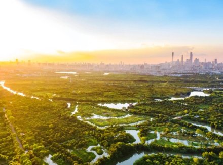 广东实施五大湿地保护重点工程！《广东省湿地保护规划》正式印发
