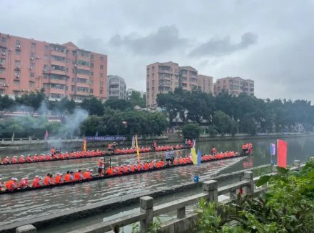 赏龙船景、品龙船饭！广州白云湖街端午好热闹