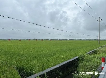 湛江百余名农户可直接收到天气预警！将建农田气象观测试验站