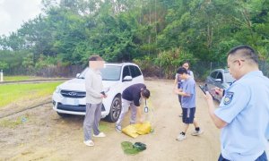 触碰饮用水源红线？清溪严查水源地违法行为