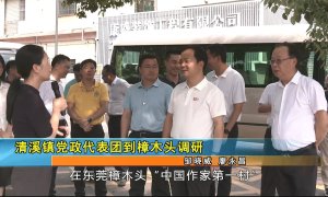 清溪镇党政代表团到樟木头调研 交流乡村振兴