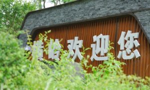 “百千万工程”三年初见成效丨东城横岭又出圈！这次不是因为香到流油的烧鹅～