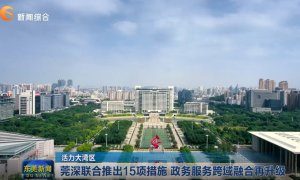 莞深联合推出15项措施 政务服务跨域融合再升级