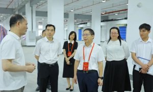 东莞市人大常委会到望牛墩镇视察重大项目建设推进情况