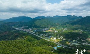 东莞“无工厂村”的山水致富经