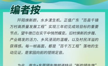 拎好“菜篮子”，点亮“大民生”！这些农贸市场全面升级｜新韵望牛墩