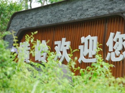 “百千万工程”三年初见成效丨东城横岭又出圈！这次不是因为香到流油的烧鹅～