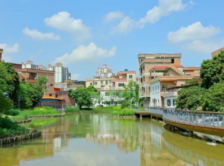 扶涌村：妙笔绘生态，美丽乡村入画来｜新韵望牛墩