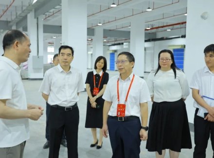 东莞市人大常委会到望牛墩镇视察重大项目建设推进情况