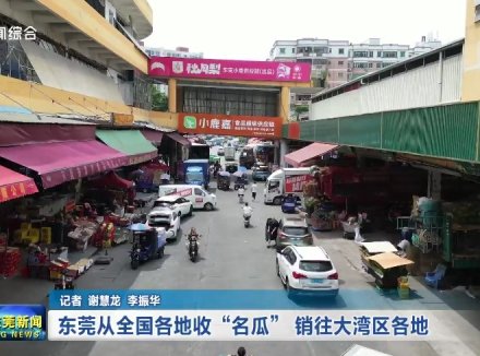 东莞从全国各地收“名瓜” 销往大湾区各地