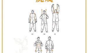 强五脏、培内气、调心情，华佗五禽戏，周末练起来吧